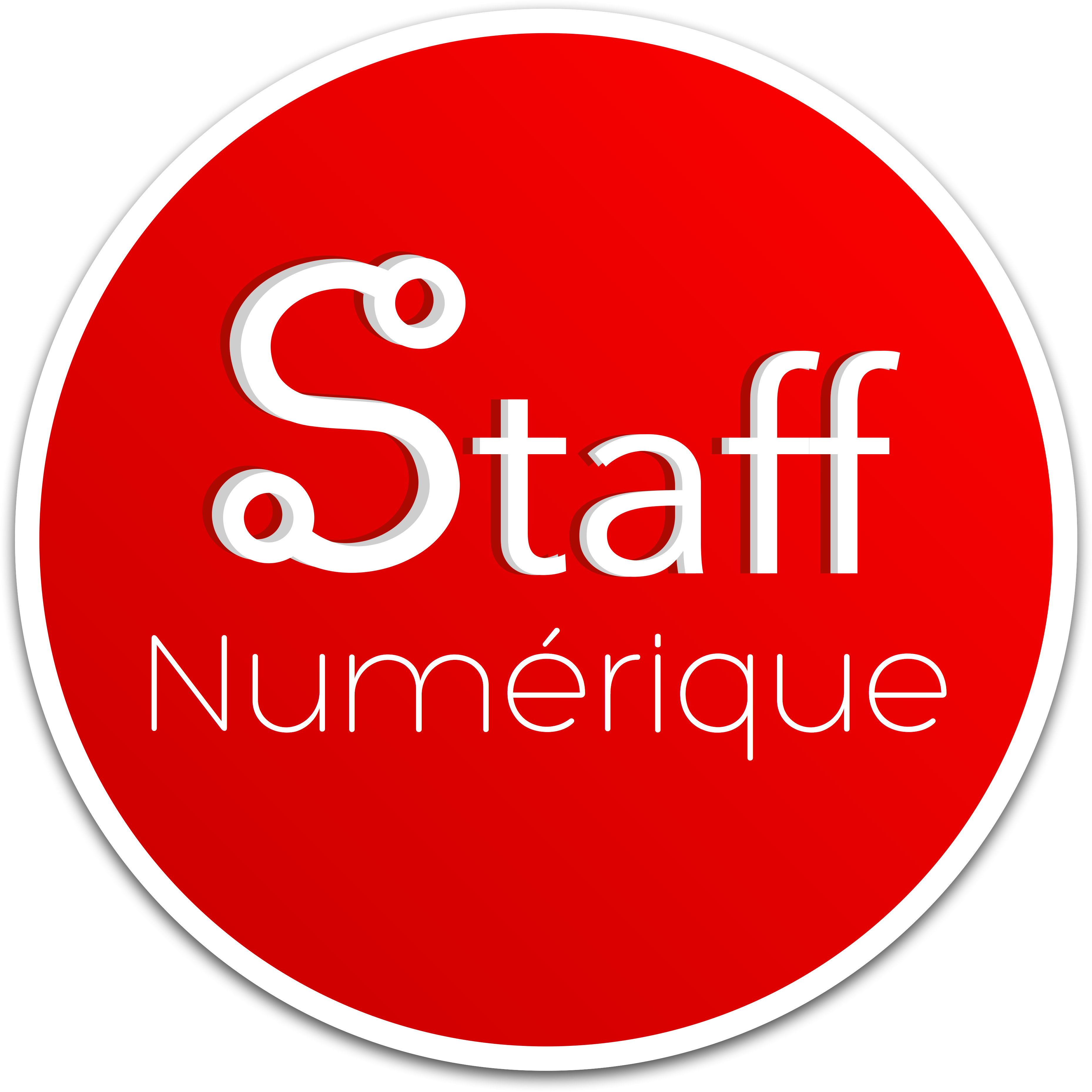Logo Staff Numérique Saint-Dominique